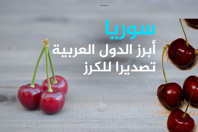 "سوريا أبرز الدول العربية تصديرا للكرز